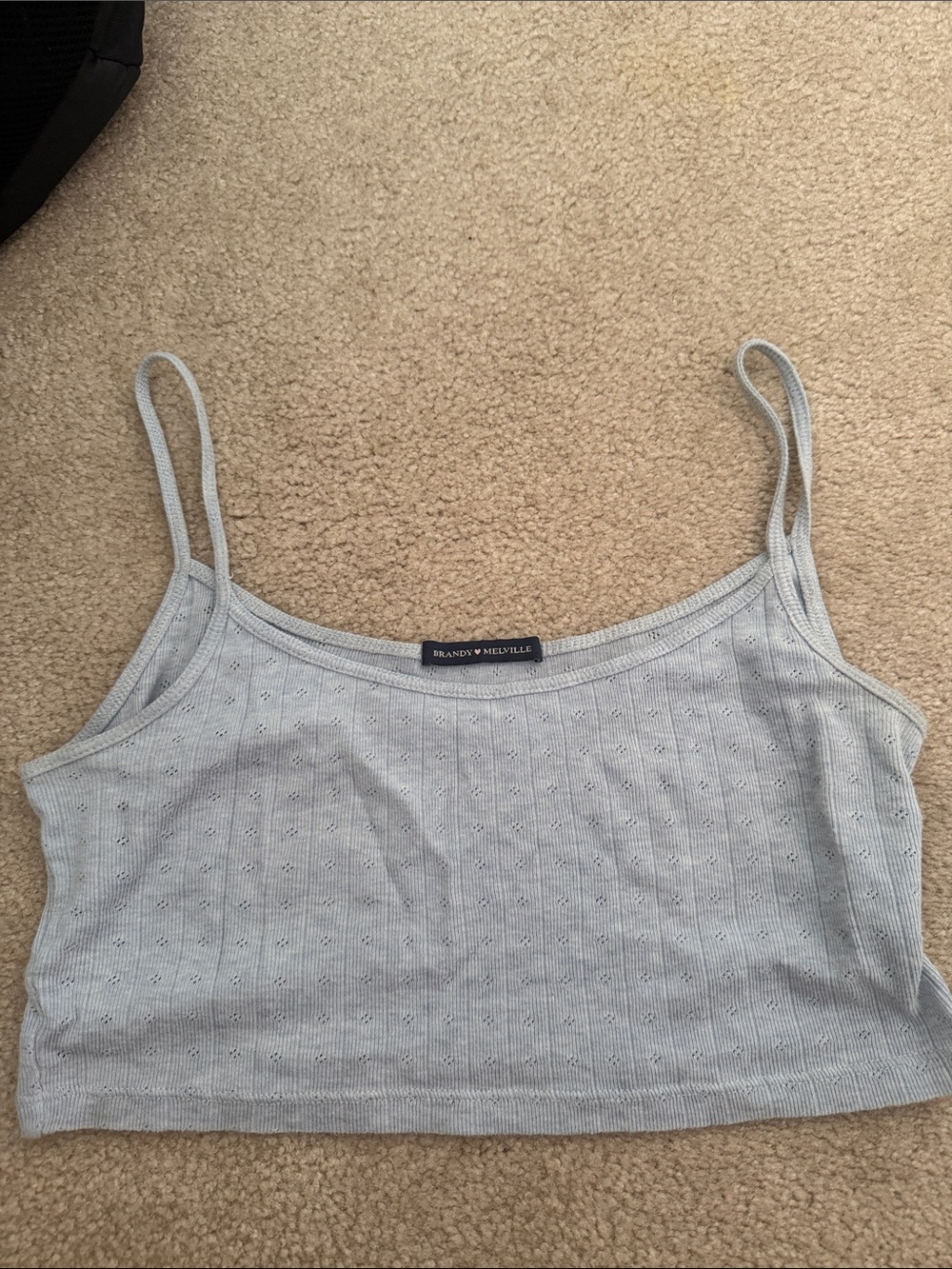 Brandy Melville Pale Blue Ribbed Eyelet Cropped Cami